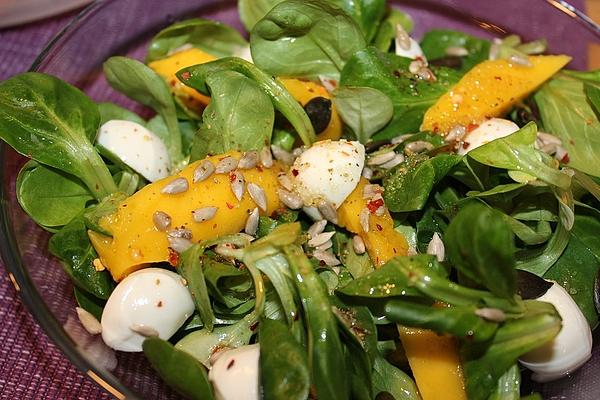 Lamb`s Lettuce with Mango and Mozzarella