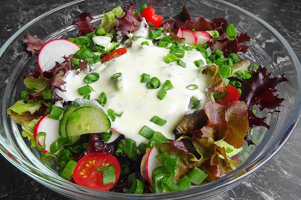 Lettuce, Cucumber, Radishes and Tomatoes with Yogurt Garlic Dressing