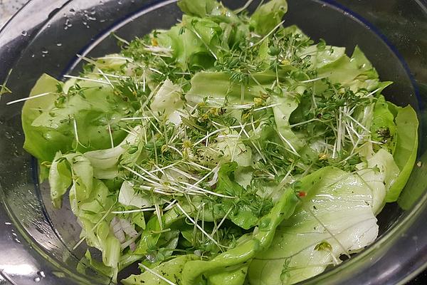 Lettuce with Cucumber and Cress À La Gabi