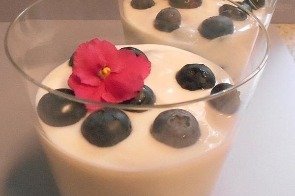 Light Yogurt and Blueberry Dessert