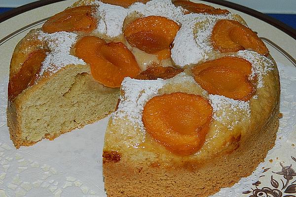 Lightning Apricot Cake