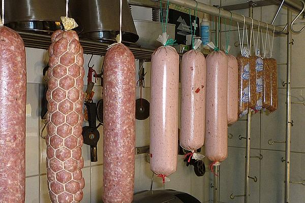 Make Lyon Sausage Yourself