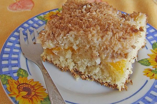Mandarin and Coconut Slices