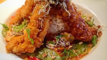 Mango Curry with Chicken