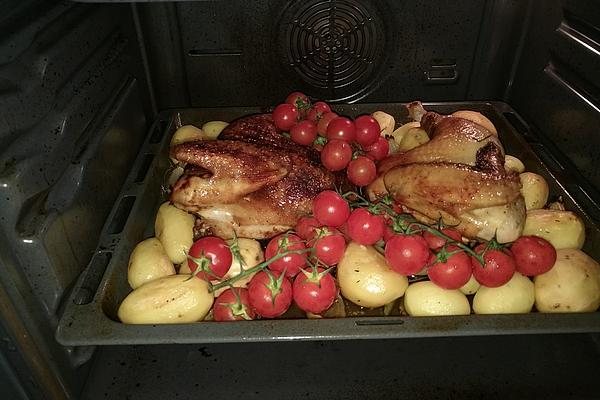 Martini – Chicken