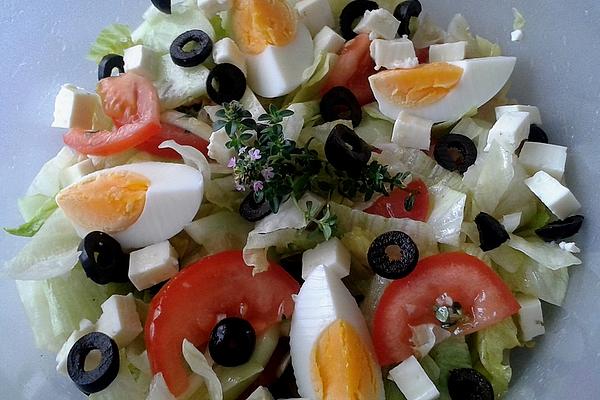 Mediterranean Iceberg Lettuce