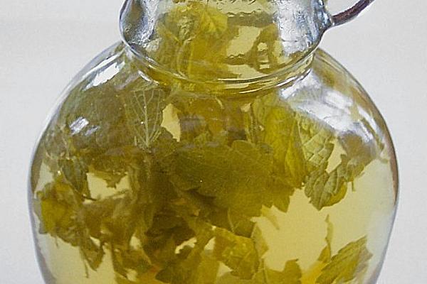 Mint – Lemon – Vinegar