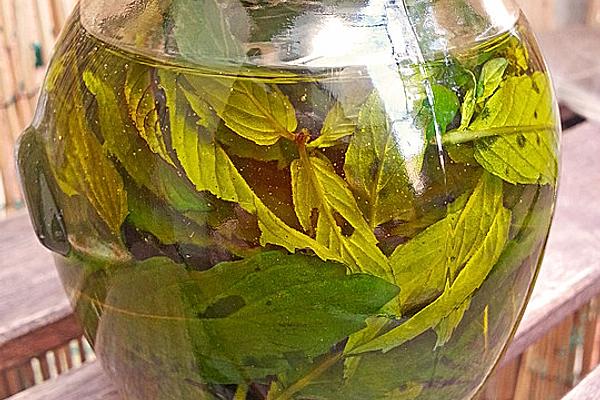 Mint Oil