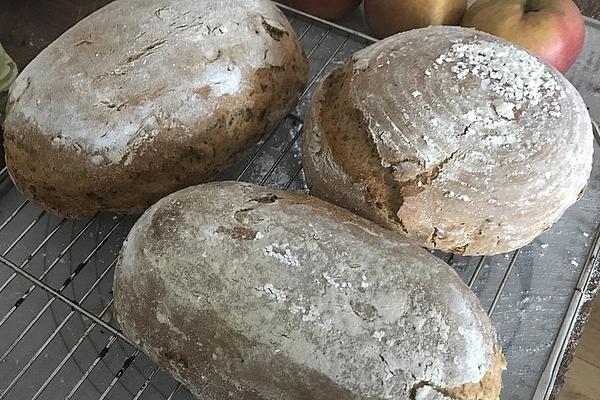 Mixed Bread with Sourdough