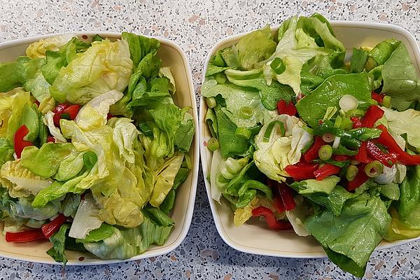 Mother`s Onion Salad Dressing Sweet and Sour