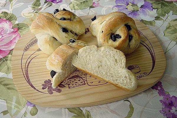 Olive – Rosemary – Knots