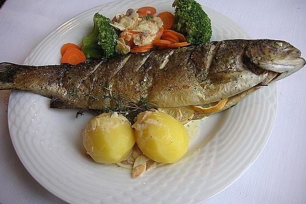 Oven Trout with Almond Cream Sauce