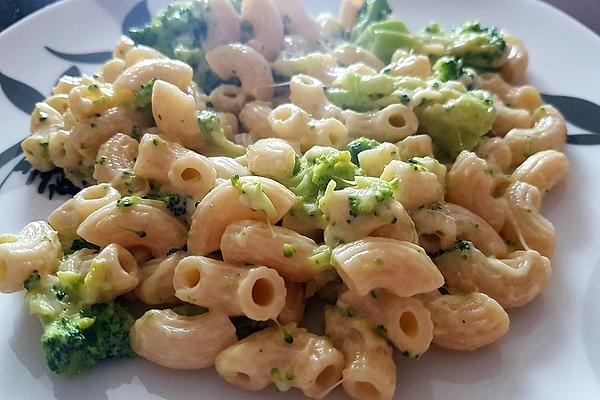 Penne on Hollandaise Sauce with Broccoli