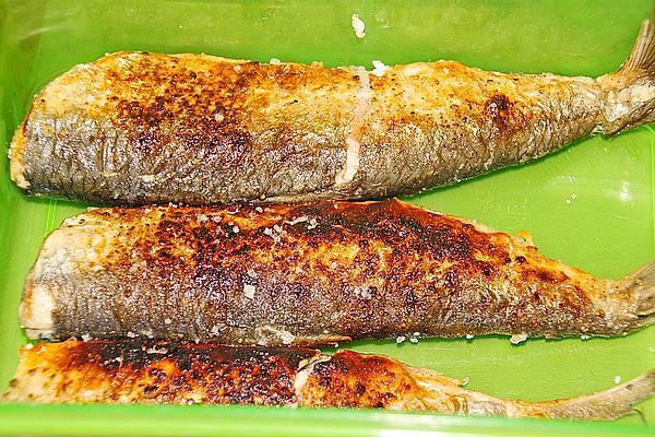 Pickled Herrings