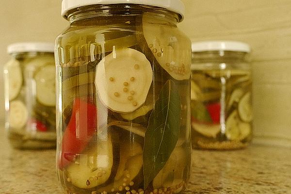 Polish Cucumbers Great-grandmother`s Style