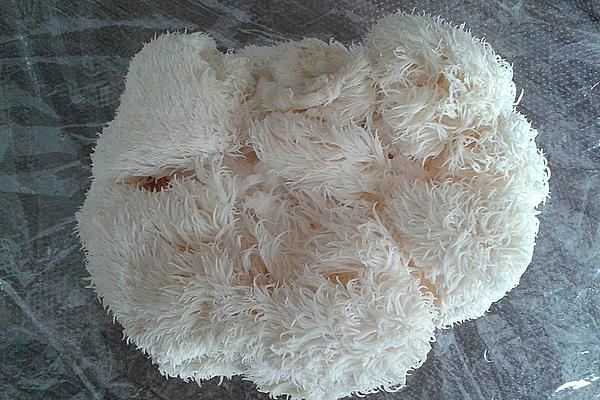 Pom-Pom Blanc Basic Preparation