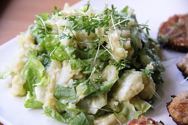 Potato – Endive – Puree