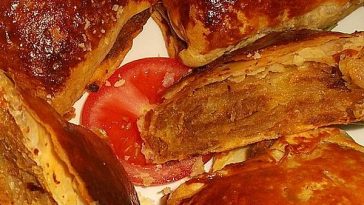 Empanadas – Chilean / Mexican Minced Meat Pockets