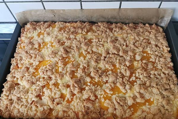 Quark – Crumble Cake with Fruit