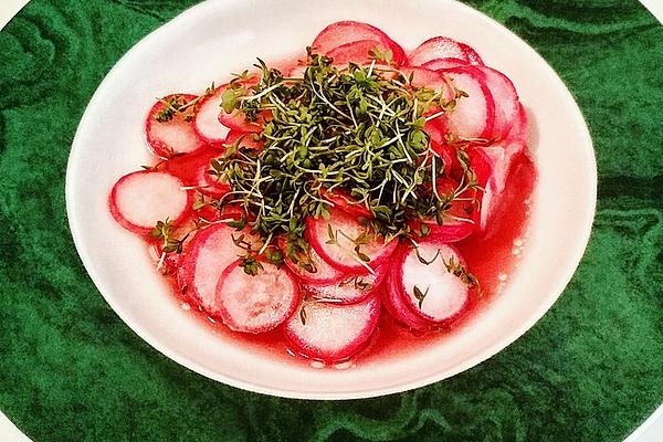 Radish – Cress – Salad