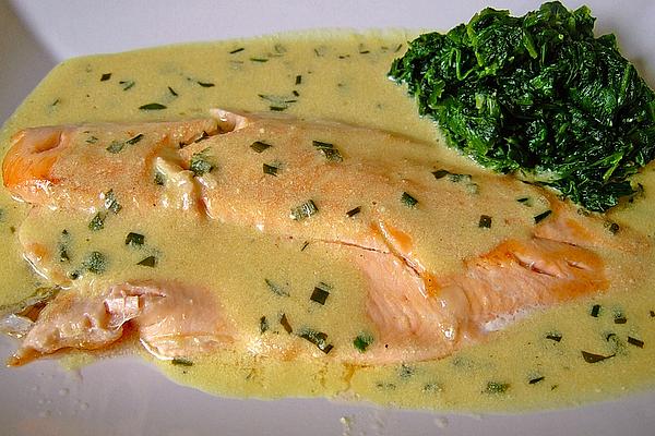 Redfish in Wild Garlic – Lime – Mustard – Sauce
