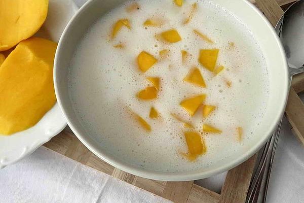Refreshing Mango Yogurt Dessert