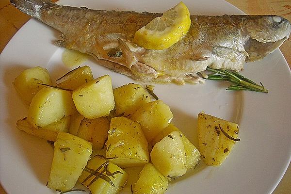 Rosemary Trout Miller