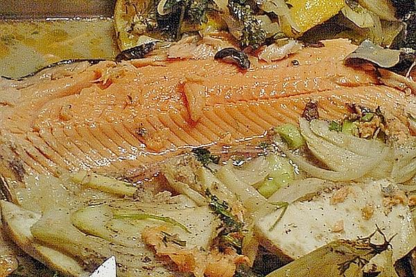 Salmon Trout