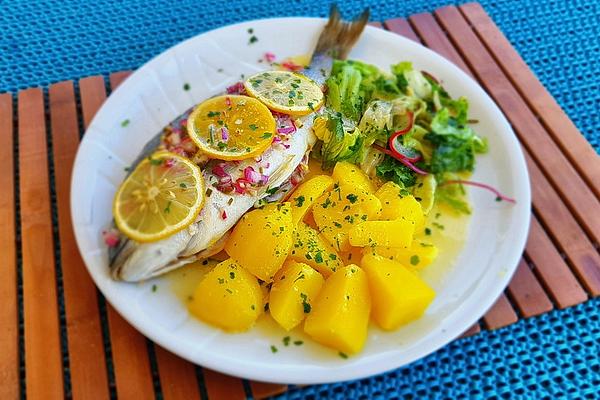 Sea Bream