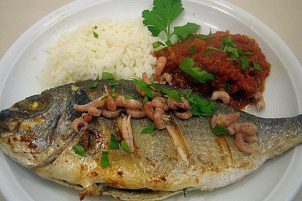 Sea Bream in Tomato – Champagne Sauce