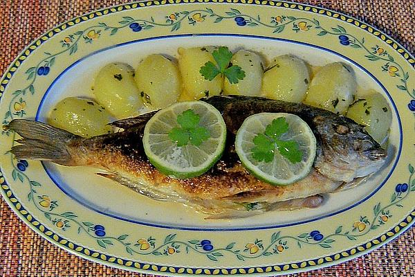 Sea Bream (sea Bream) Fried in Pan with Creamy Wine Sauce