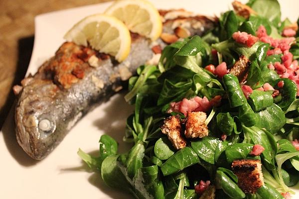Simple Lamb`s Lettuce