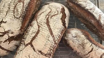 Tzatziki for Every Day