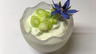 Dip with Sour Cream and Salsa