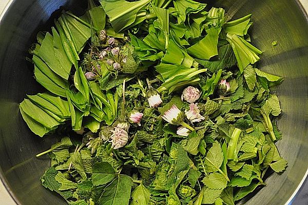 Spring Herb Soup