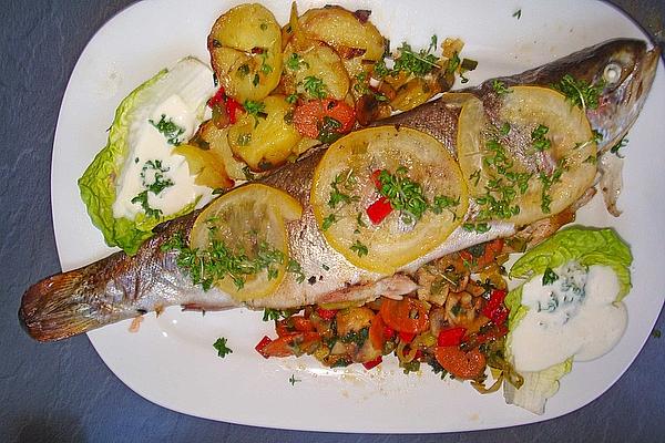 Spring Trout in Foil