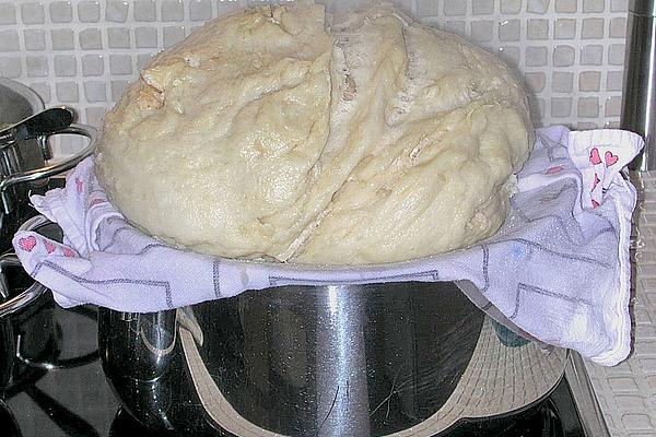 Steam-dumplings
