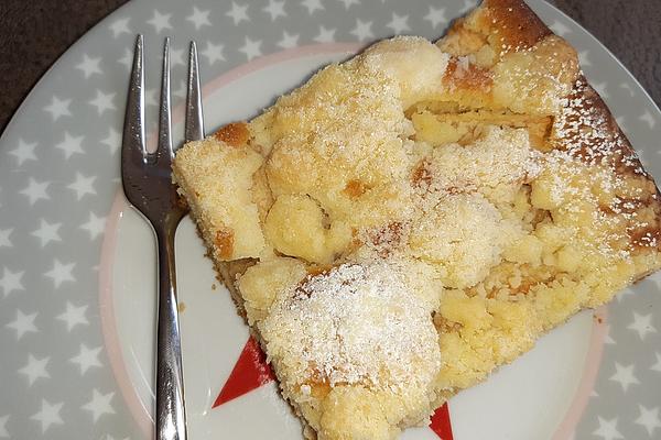 Streusel – Apple – Sheet Cake Like Grandma`s