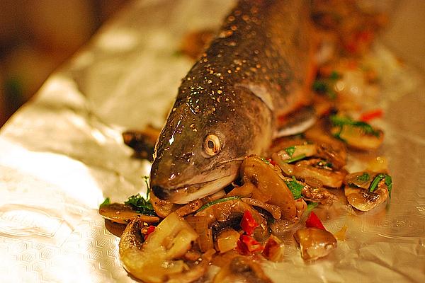 Stuffed Char