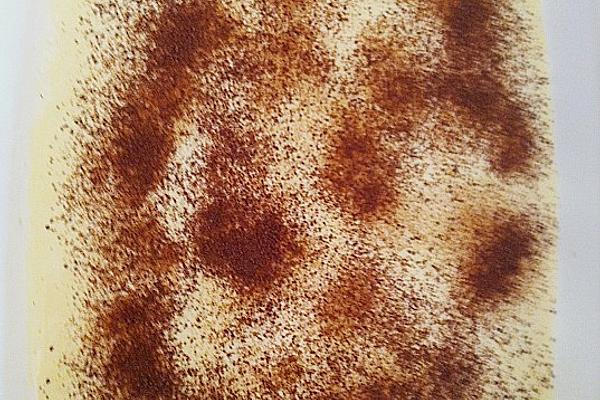 Sweet Schnuffis Tiramisu