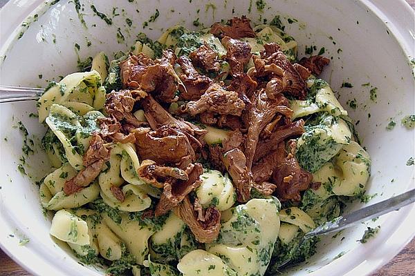 Tortellini in Spinach Cream