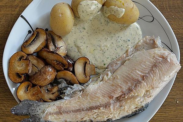 Trout in Pan and Oven