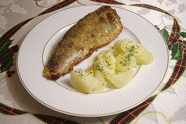 Trout or Salmon Trout from Oven