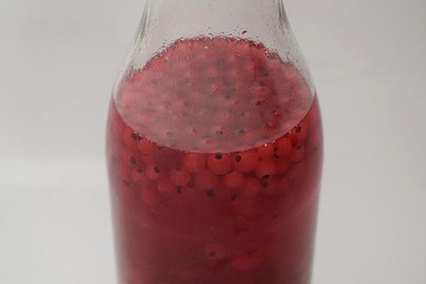 Ukrainian Currant Vodka