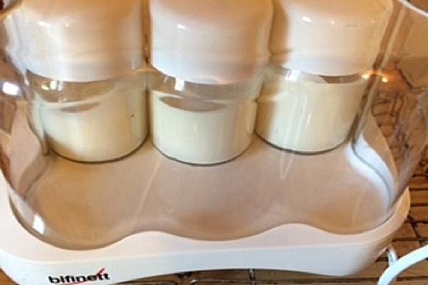 Vegan Yogurt