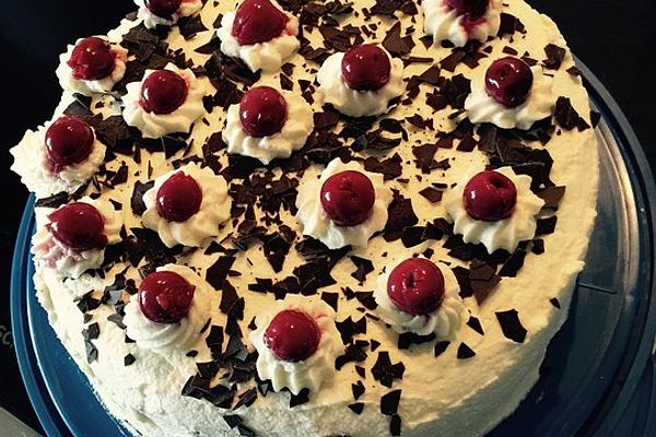 Viennese Cake Base (chocolate)