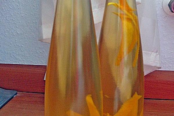 Vin À L`orane