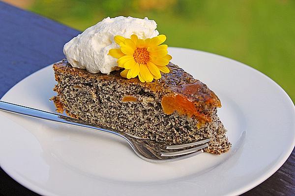 Waldviertel Apricot Cake