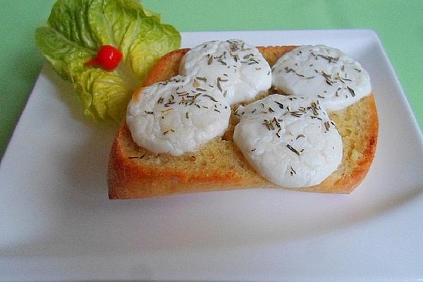 Warm Goat Cheese on Salad (variant 1)