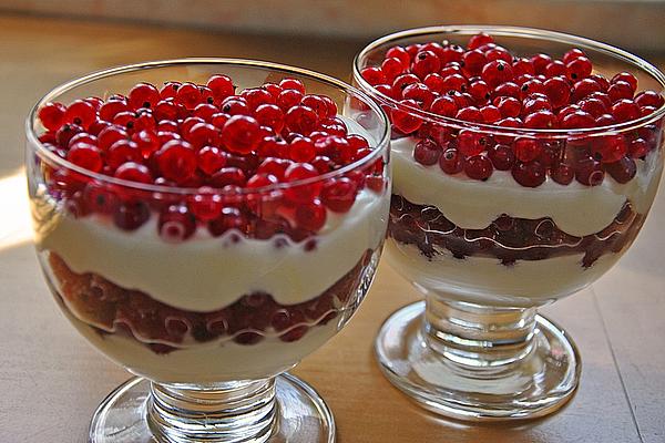 Yogurt – Cream Cheese – Cream
